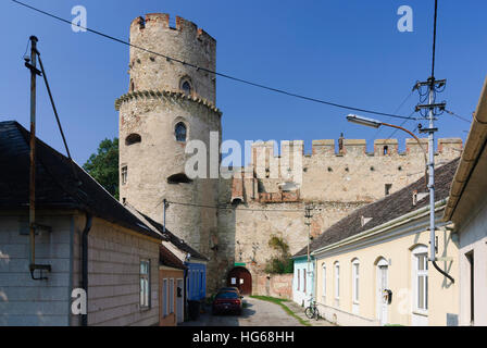 Laa Laa an der Thaya : château, Weinviertel, Niederösterreich, Basse Autriche, Autriche Banque D'Images