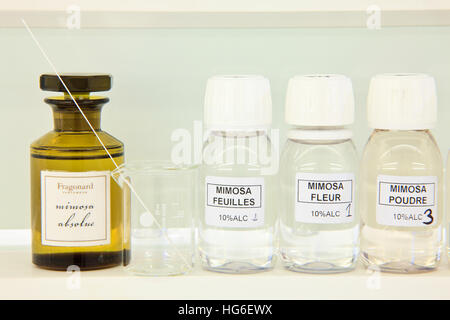 Grasse, Alpes-Maritimes, France, parfumerie Fragonard dans l'usine historique de l'atelier du parfumeur olfactif, apprenti, en créant de la mimosa Banque D'Images
