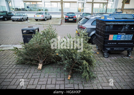 Londres, Royaume-Uni. 5 janvier, 2017. Les arbres de Noël vu par bacs de recyclage à Surrey Quays © Guy Josse/Alamy Live News Banque D'Images