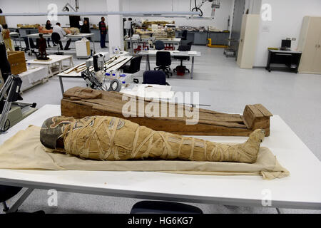 (170106) -- LE CAIRE, 6 janvier 2017 (Xinhua) -- une momie est vu dans le Centre de Conservation du Grand Musée Égyptien (GEM) au Caire le 3 janvier 2017. Sur une vaste zone de terres bientot, environ deux kilomètres au nord des grandes pyramides de Gizeh à la périphérie de la Capitale Le Caire, des centaines de travailleurs et d'ingénieurs course contre la montre sur le site de construction du musée pour l'ouverture de la douce le plus grand musée de la région au début de 2018. La gemme peut accueillir 100 000 artefacts, avec 50 000 à 50 000 et un autre affichage constant stockées dans des entrepôts modernes, a déclaré le directeur général de GEM Tarek Tawfik, ajout Banque D'Images