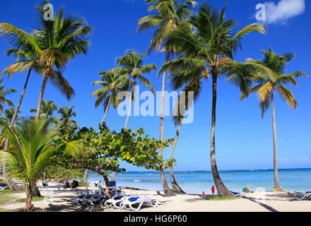 Plage tropicale avec chaises longues bleu et l'herbe sur l'avant-plan Banque D'Images