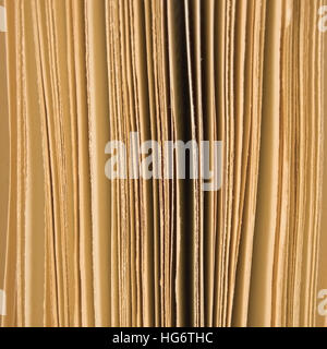 Ouvrir légèrement les pages d'un livre libre contexte sépia, grand studio macro shot verticale Banque D'Images