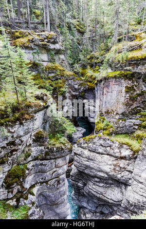 Maligne Canyon est une caractéristique naturelle situé dans le parc national Jasper Banque D'Images