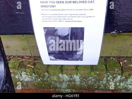 Chat manquant dans l'affiche de rue dans le nord de Londres Banque D'Images