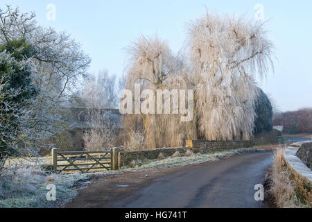 Pleurer les saules et la maison du moulin couverte de givre en hiver. North Aston, North Oxfordshire, Angleterre Banque D'Images