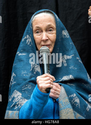 Protecteur de Dame Dr Jane Goodall, dévoile une peinture murale réalisée par l'artiste local Adam Lo de son soi-même et les animaux. "Murs de changement' street art à Hong Ko Banque D'Images