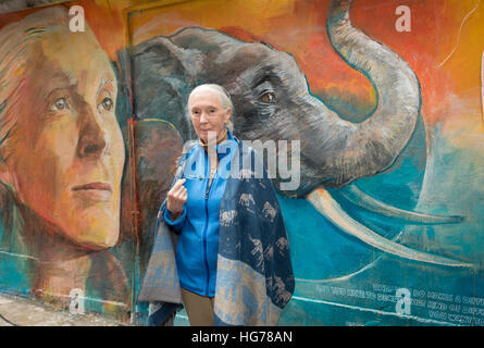 Protecteur de Dame Dr Jane Goodall, dévoile une peinture murale réalisée par l'artiste local Adam Lo de son soi-même et les animaux. "Murs de changement' street art à Hong K Banque D'Images