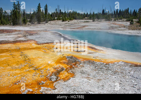 Black Pool à West Thumb Geyser Basin, Parc National de Yellowstone. Banque D'Images