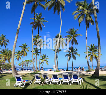 Plage tropicale avec chaises longues bleu et l'herbe sur l'avant-plan Banque D'Images