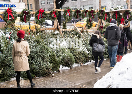 Arbre de Noël de trottoir, New York City, USA Banque D'Images