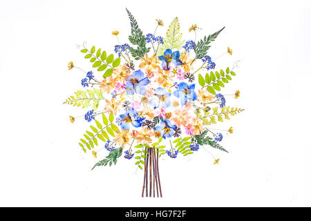 Une image clé de délicates fleurs pressées secs disposés sur un fond blanc Banque D'Images