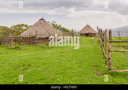 Chaume traditionnel, argile et maisons bois d'éleveur dans les hautes terres du Cameroun, l'Afrique Banque D'Images