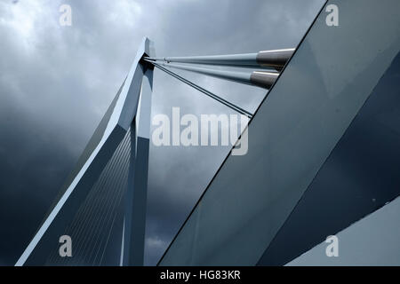 Erasmusbrug à Rotterdam Vue de dessous - 2 Banque D'Images