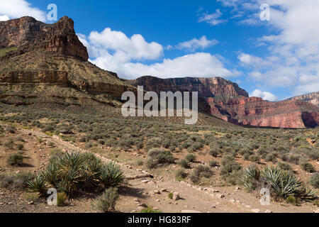 Le sentier de South Kaibab ordre croissant vers la plus haute altitude du Grand Canyon. Le Parc National du Grand Canyon, Arizona Banque D'Images