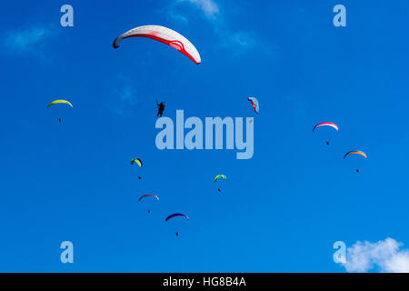 De nombreux parapentes volent dans l'air, plus de Pokhara et le Lac Phewa, Sarangkot, district de Kaski, Népal Banque D'Images