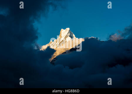 Vue sur le sommet de la montagne de Machapuchare au coucher du soleil, en partie couverte par les nuages de mousson, Chomrong, district de Kaski, Népal Banque D'Images