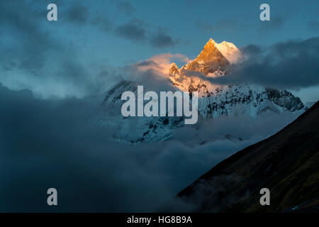 Vue sur le sommet de la montagne de Machapuchare au coucher du soleil, en partie couverte par les nuages de mousson, Chomrong, district de Kaski, Népal Banque D'Images