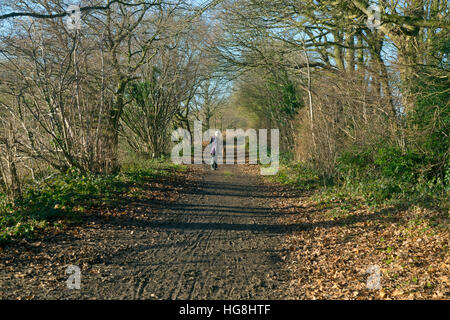 Marriott's Way sur la ligne de chemin de fer désaffectée à Norwich Aylsham railway à Reepham Norfolk Banque D'Images