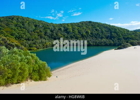 Fraser Island, Queensland, Australie Banque D'Images