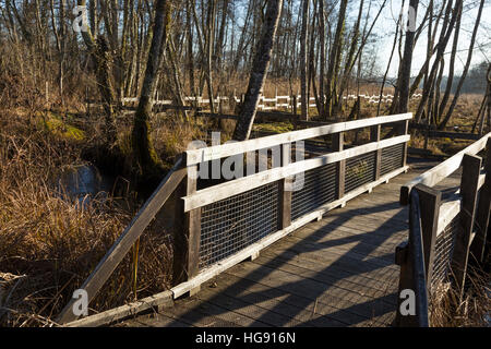 Voie de Passage / pied / chemin / sentier de promenade touristes / les randonneurs en marais de Lavours Réserve naturelle nationale, Ain, France Banque D'Images