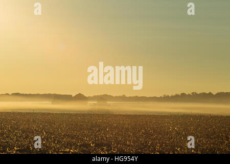 Matin brumeux sur labourées farm field Banque D'Images