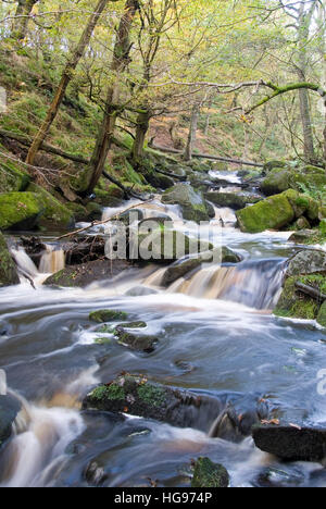 Burbage Brook coule dans la vallée boisée de la rivière rocheuse de Padley Gorge, Longshaw Estate, Peak District, Derbyshire, Royaume-Uni Banque D'Images