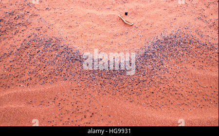 Vague de sable rouge dans le sable Hollow State Park.L'ouragan, Utah, USA. Banque D'Images