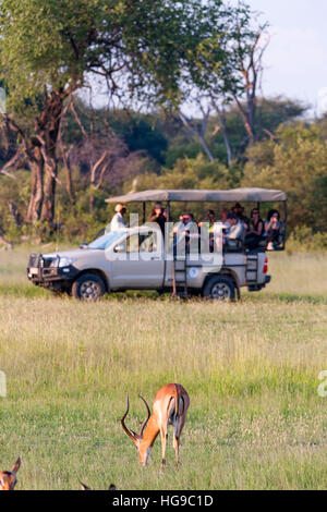 Grand troupeau Impala véhicule safari Zimbabwe Hwange Banque D'Images