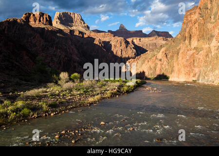 La Rivière Colorado s'écoulant le Bright Angel le camping situé dans le Grand Canyon. Le Parc National du Grand Canyon, Arizona Banque D'Images