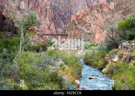 Bright Angel Creek qui coule vers la rivière Colorado en dessous du pont suspendu de noir. Le Parc National du Grand Canyon, Arizona Banque D'Images