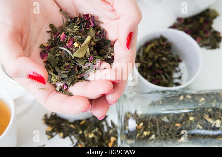 Woman's hands holding la feuille de thé vert et de différents types d'herbes sur l'arrière-plan Banque D'Images