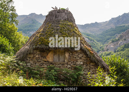 Cabane de berger (typique) braña de Somiedo National Park Banque D'Images