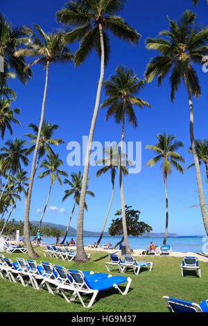 Plage tropicale avec chaises longues bleu et l'herbe sur l'avant-plan Banque D'Images