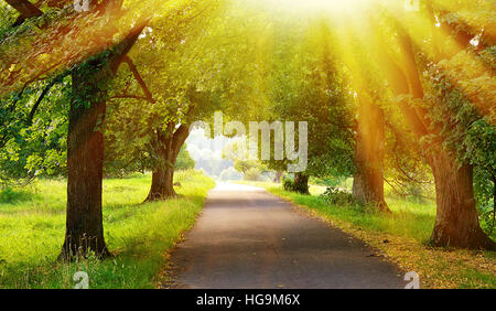 Ruelle dans le soleil Banque D'Images