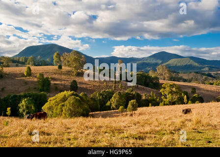 Nimbin, Australie, paysage rural Banque D'Images