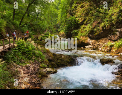 La rivière Radovna coupant à travers les gorges de Vintgar près de Bled, en Haute-carniole, la Slovénie. La gorge est dans le Parc National de Triglav. Banque D'Images