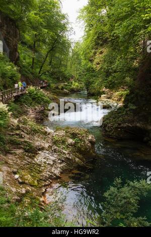 La rivière Radovna coupant à travers les gorges de Vintgar près de Bled, en Haute-carniole, la Slovénie. La gorge est dans le Parc National de Triglav. Banque D'Images