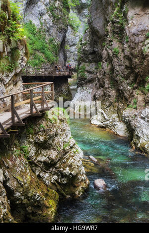 La rivière Radovna coupant à travers les gorges de Vintgar près de Bled, en Haute-carniole, la Slovénie. La gorge est dans le Parc National de Triglav. Banque D'Images