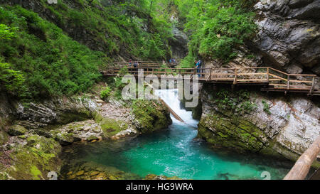 La rivière Radovna coupant à travers les gorges de Vintgar près de Bled, en Haute-carniole, la Slovénie. La gorge est dans le Parc National de Triglav. Banque D'Images