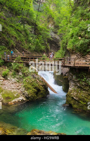 La rivière Radovna coupant à travers les gorges de Vintgar près de Bled, en Haute-carniole, la Slovénie. La gorge est dans le Parc National de Triglav. Banque D'Images