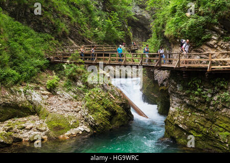 La rivière Radovna coupant à travers les gorges de Vintgar près de Bled, en Haute-carniole, la Slovénie. La gorge est dans le Parc National de Triglav. Banque D'Images