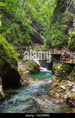 La rivière Radovna coupant à travers les gorges de Vintgar près de Bled, en Haute-carniole, la Slovénie. La gorge est dans le Parc National de Triglav. Banque D'Images