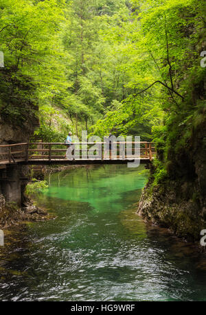 La rivière Radovna coupant à travers les gorges de Vintgar près de Bled, en Haute-carniole, la Slovénie. La gorge est dans le Parc National de Triglav. Banque D'Images