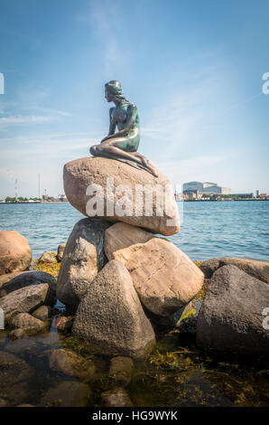 La statue de la petite sirène à Copenhague Banque D'Images