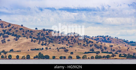 Campagne australienne panorama. Collines jaune avec des arbres dispersés sur les rives du lac Hume, sur la journée ensoleillée. Victoria, Australie. Banque D'Images