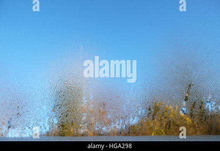 Gouttelettes d'eau de condensation à l'intérieur d'une fenêtre en velours à l'intérieur d'un ciel bleu d'hiver froid matin dans la campagne de Carmarthenshire pays de Galles UK KATHY DEWITT Banque D'Images