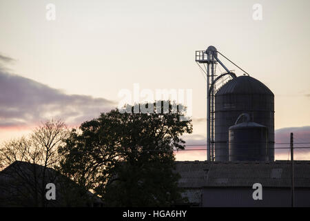 Toits de bâtiments de ferme et d'un silo-tour pour l'entreposage du grain, silhouetté contre le ciel du soir - Yorkshire, Angleterre. Banque D'Images