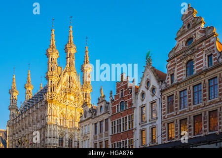 Leuven Stadhuis (Hôtel de Ville) et flamand bâtiments sur Grote Markt Banque D'Images