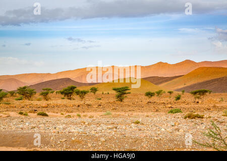 Paysage du sud du Maroc est caractérisée par des montagnes, des plaines, des sols pierreux, le sable et la végétation maigre. Banque D'Images