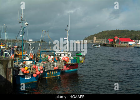 Les bateaux de pêche à quai à Oban, Scotland UK. Banque D'Images